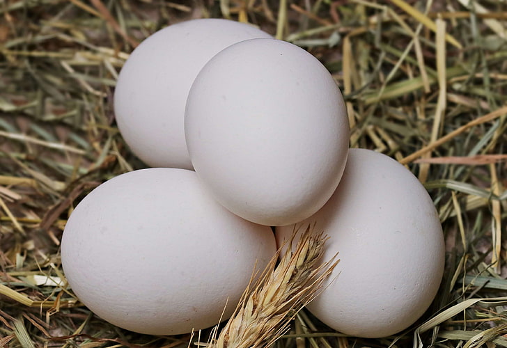 FarmFresh Eggs