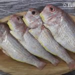 pink-perch-whole